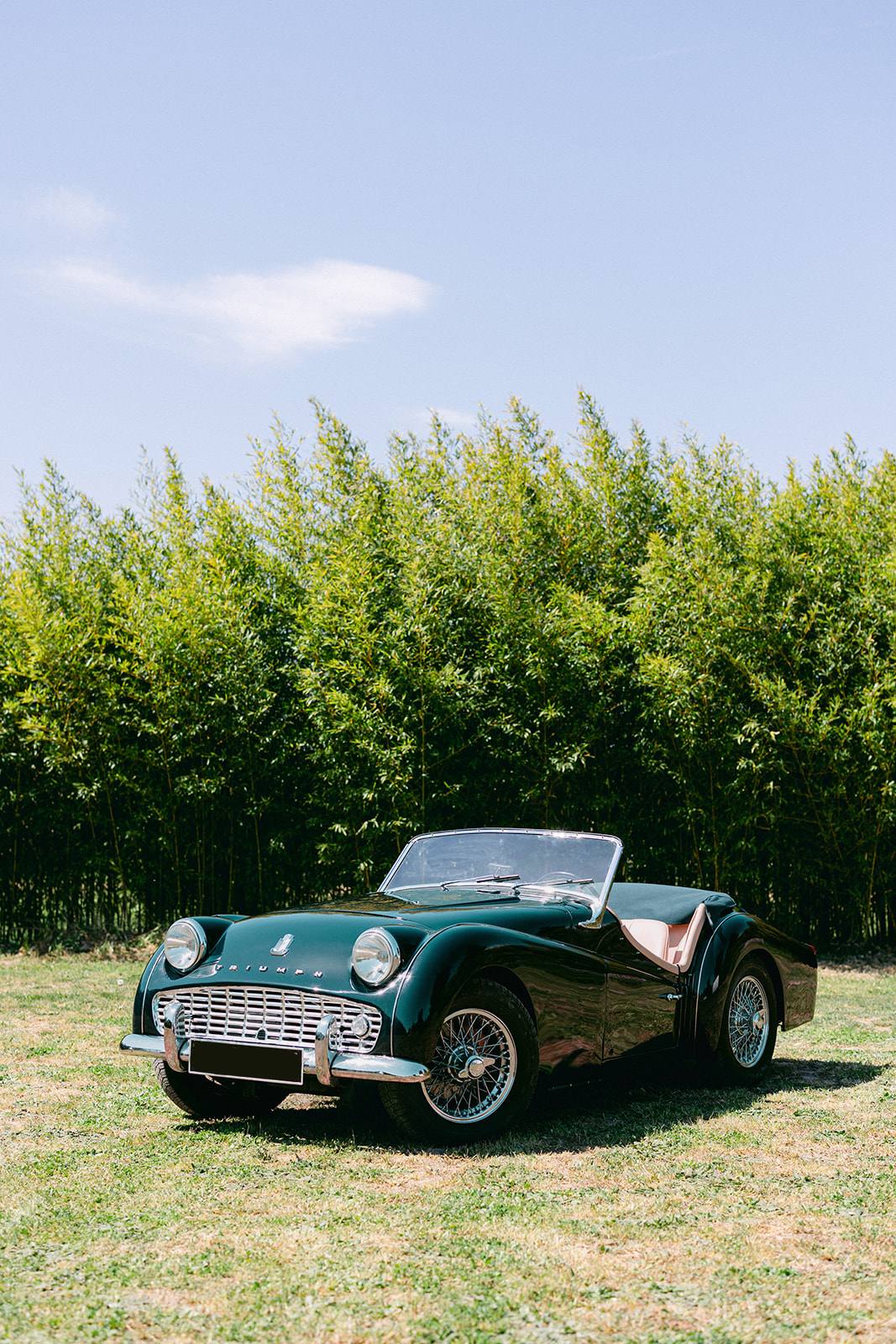 A photopraph of one of the vehicles available for weddings at Provence Classics.